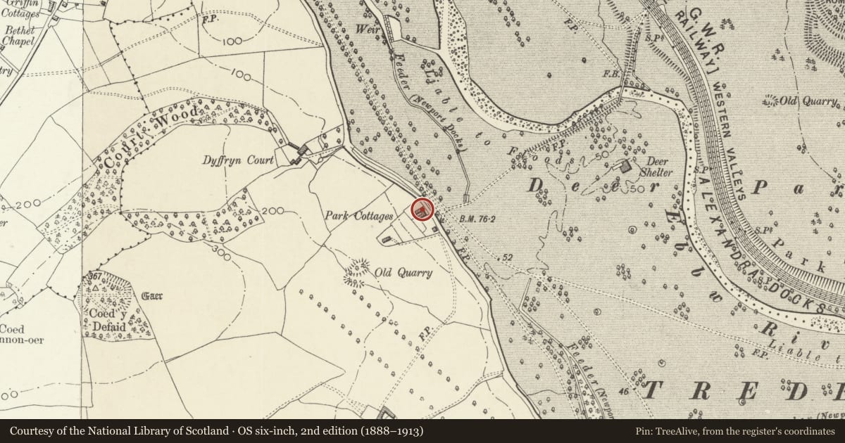 Ordnance Survey six-inch map, 2nd edition (1888–1913) covering the location of Nos 28, 29 and 30 Forge Lane Cottages, Graig, Newport, with a pin at the register's coordinates