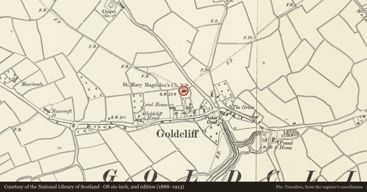Ordnance Survey six-inch map, 2nd edition (1888–1913) covering the location of Church of St Mary Magdalene, Goldcliff, Newport, with a pin at the register's coordinates