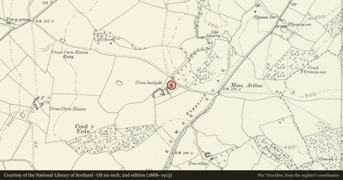 Ordnance Survey six-inch map, 2nd edition (1888–1913) covering the location of Croes-heolydd, Graig, Newport, with a pin at the register's coordinates