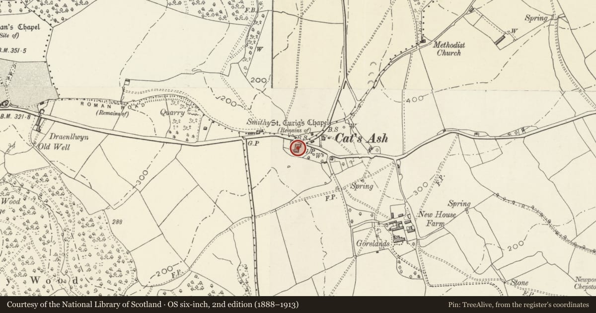 Ordnance Survey six-inch map, 2nd edition (1888–1913) covering the location of Cat's Ash Farmhouse (incorporating remains of St Curig's chapel), Langstone, Newport, with a pin at the register's coordinates