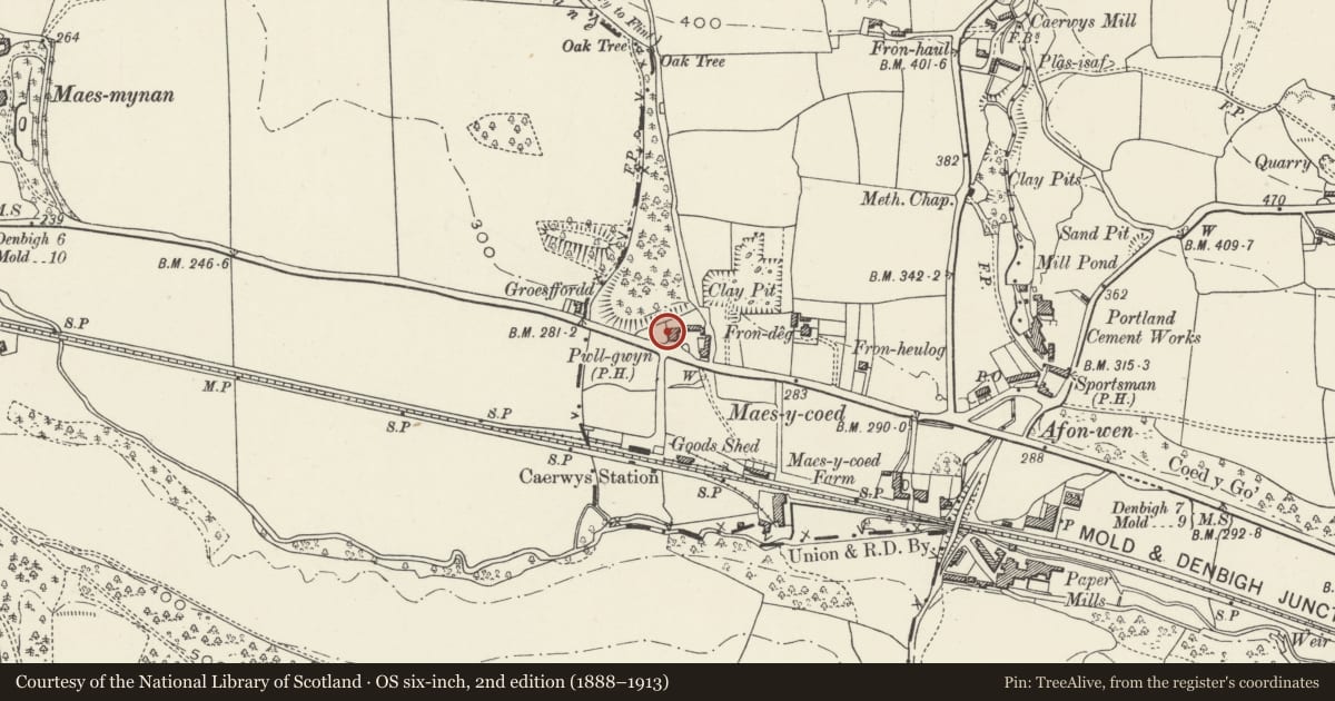 Ordnance Survey six-inch map, 2nd edition (1888–1913) covering the location of Pwllgwyn Hotel, Caerwys, Flintshire, with a pin at the register's coordinates