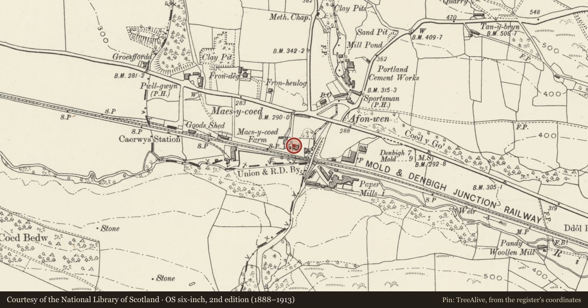 Ordnance Survey six-inch map, 2nd edition (1888–1913) covering the location of Maes-y-coed Farmhouse, Caerwys, Flintshire, with a pin at the register's coordinates