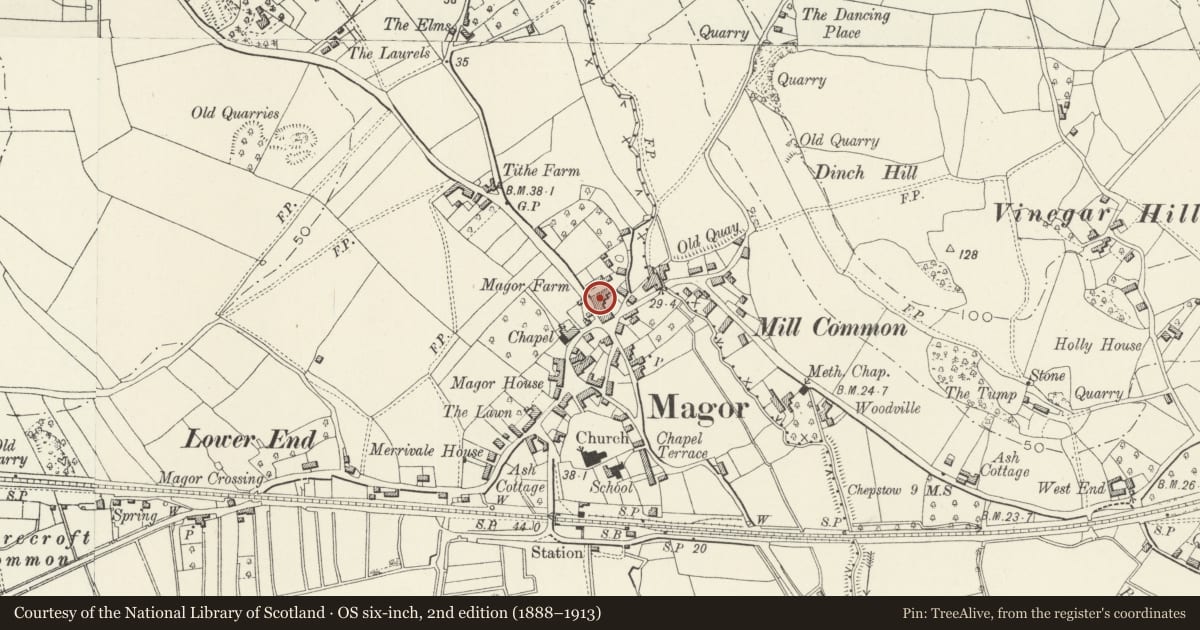 Ordnance Survey six-inch map, 2nd edition (1888–1913) covering the location of Manor Farmhouse, Magor with Undy, Monmouthshire, with a pin at the register's coordinates