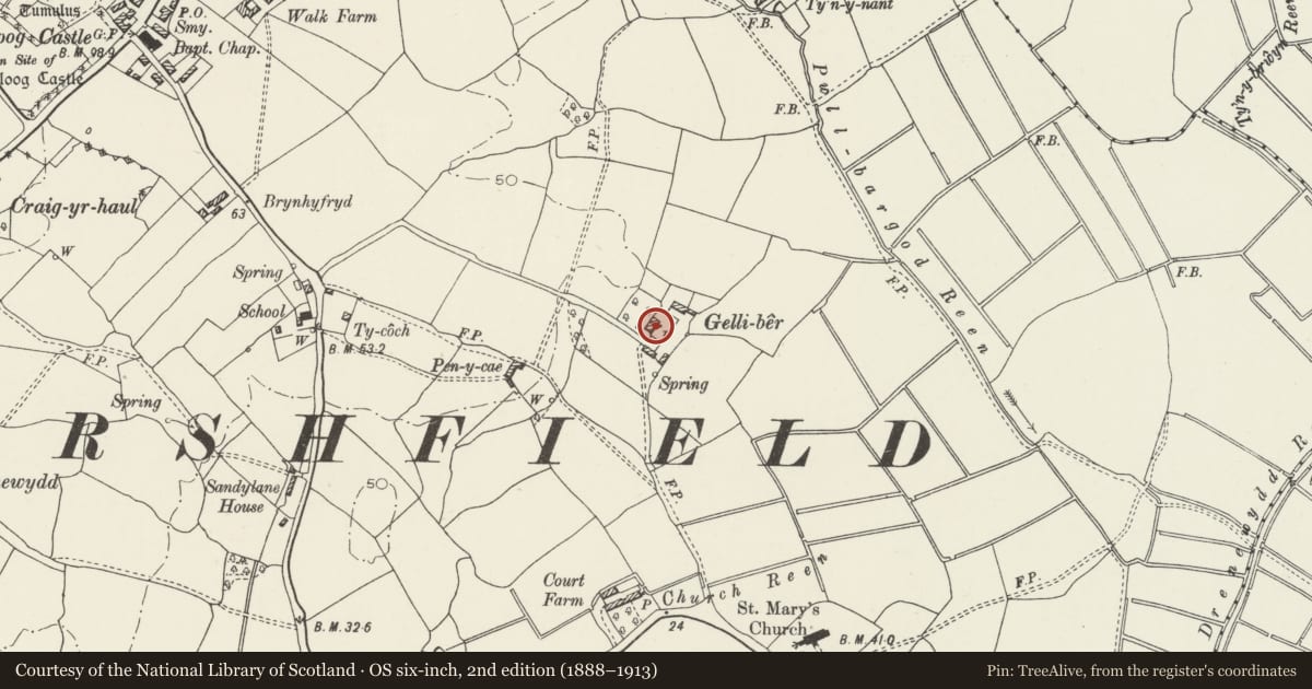Ordnance Survey six-inch map, 2nd edition (1888–1913) covering the location of Gelli-ber Farmhouse, Marshfield, Newport, with a pin at the register's coordinates