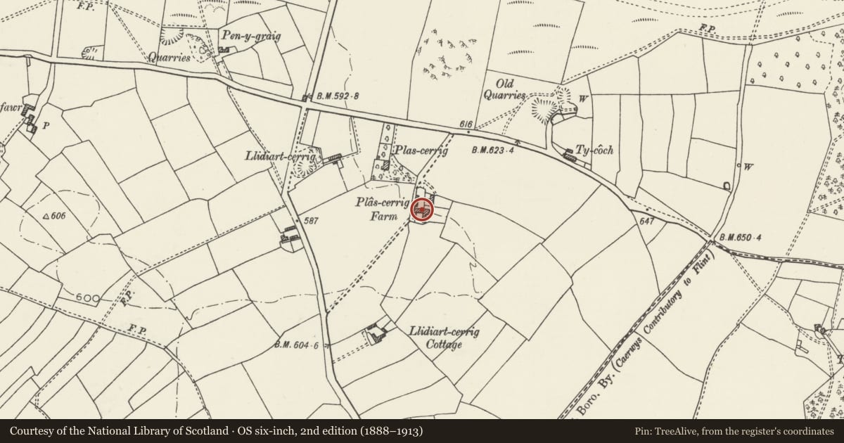 Ordnance Survey six-inch map, 2nd edition (1888–1913) covering the location of Plas Cerrig Farmhouse, including attached former barn and bakehouse, Caerwys, Flintshire, with a pin at the register's coordinates