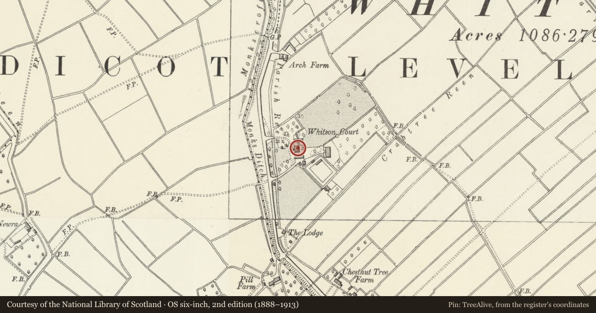 Ordnance Survey six-inch map, 2nd edition (1888–1913) covering the location of Whitson Court including attached pavilions and garden walls, Goldcliff, Newport, with a pin at the register's coordinates