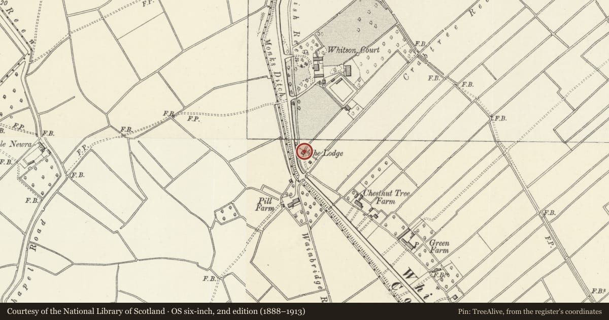 Ordnance Survey six-inch map, 2nd edition (1888–1913) covering the location of Whitson Lodge, Goldcliff, Newport, with a pin at the register's coordinates