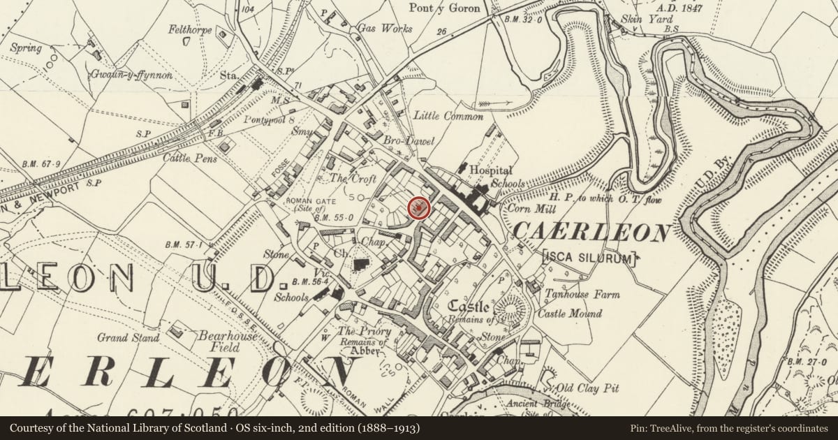 Ordnance Survey six-inch map, 2nd edition (1888–1913) covering the location of 5 Backhall Street, Caerleon, Newport, with a pin at the register's coordinates