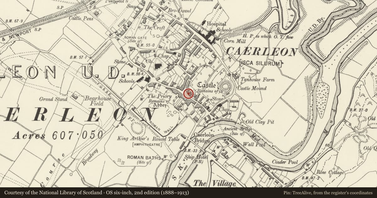 Ordnance Survey six-inch map, 2nd edition (1888–1913) covering the location of 9 High Street, Caerleon, Newport, with a pin at the register's coordinates