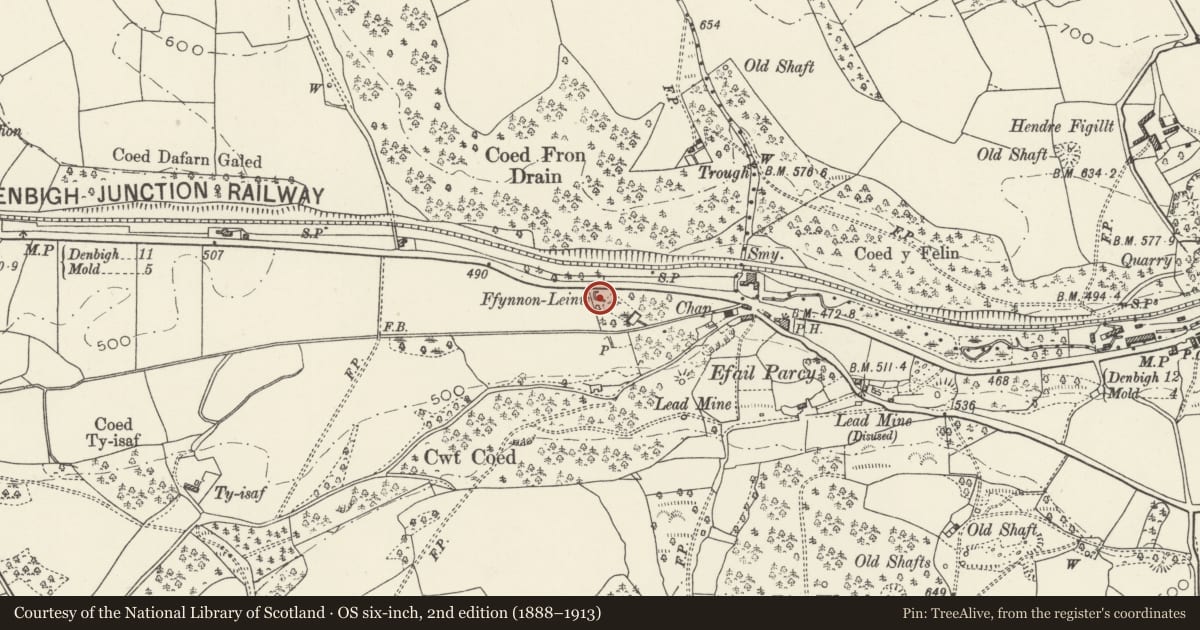 Ordnance Survey six-inch map, 2nd edition (1888–1913) covering the location of Ffynnon Leinw, Cilcain, Flintshire, with a pin at the register's coordinates
