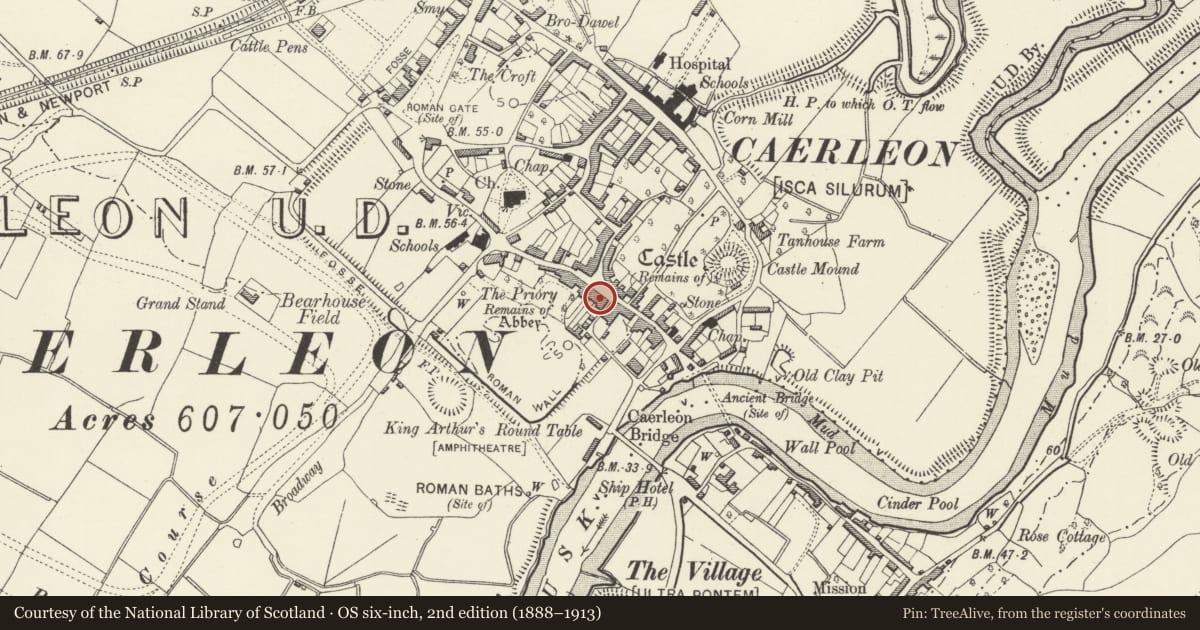 Ordnance Survey six-inch map, 2nd edition (1888–1913) covering the location of 29 High Street, Caerleon, Newport, with a pin at the register's coordinates