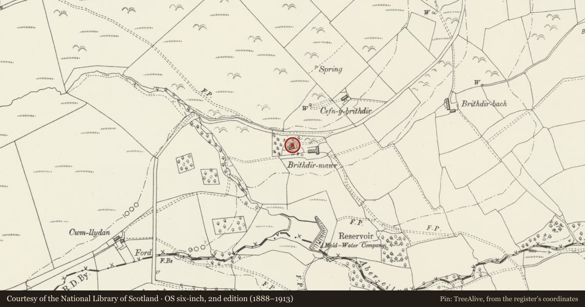 Ordnance Survey six-inch map, 2nd edition (1888–1913) covering the location of Brithdir Mawr, Cilcain, Flintshire, with a pin at the register's coordinates