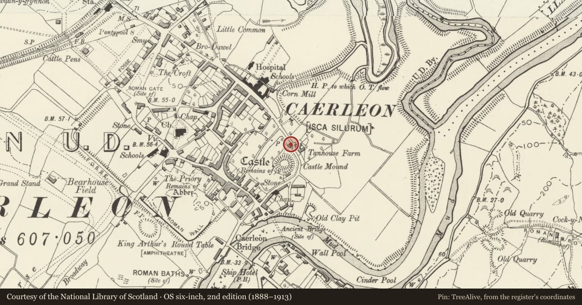 Ordnance Survey six-inch map, 2nd edition (1888–1913) covering the location of 98 Mill Street, Caerleon, Newport, with a pin at the register's coordinates