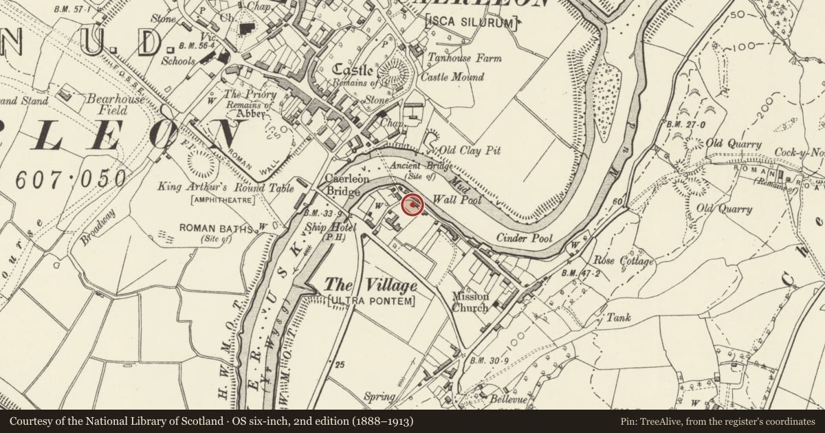 Ordnance Survey six-inch map, 2nd edition (1888–1913) covering the location of White Lion House, Caerleon, Newport, with a pin at the register's coordinates