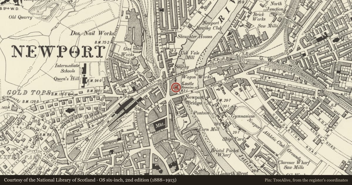 Ordnance Survey six-inch map, 2nd edition (1888–1913) covering the location of Newport Castle, Stow Hill, Newport, with a pin at the register's coordinates
