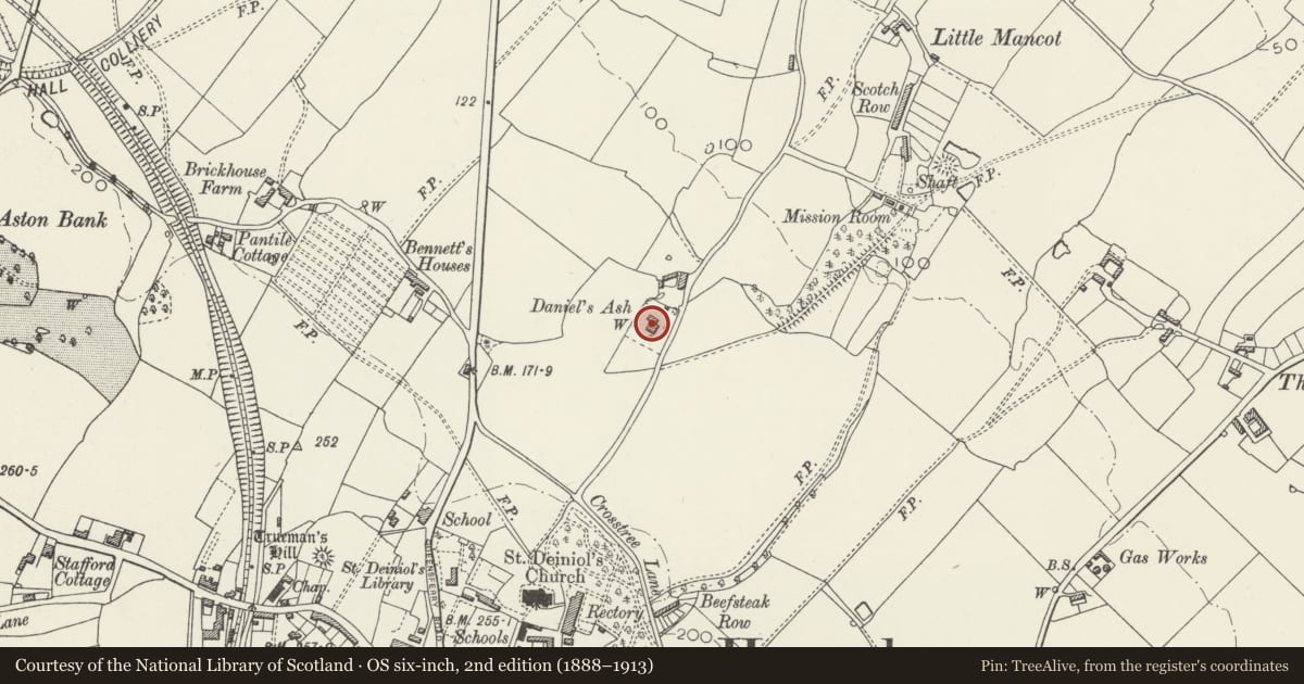 Ordnance Survey six-inch map, 2nd edition (1888–1913) covering the location of St Deiniols Ash, Hawarden, Flintshire, with a pin at the register's coordinates