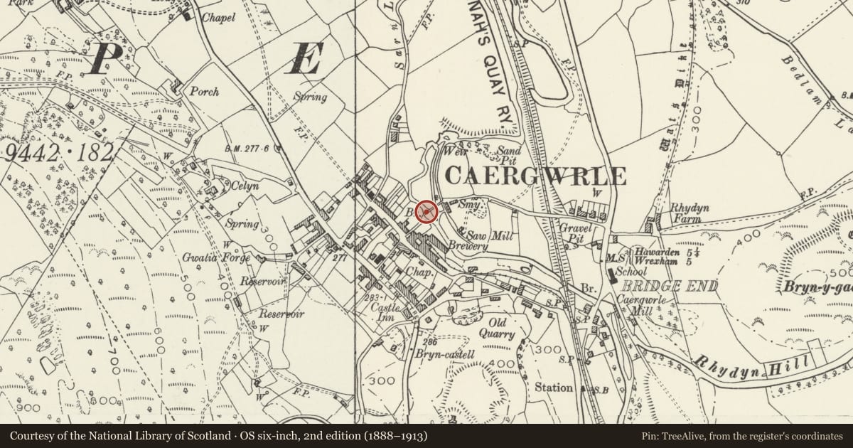 Ordnance Survey six-inch map, 2nd edition (1888–1913) covering the location of Pack Horse Bridge, Hope, Flintshire, with a pin at the register's coordinates