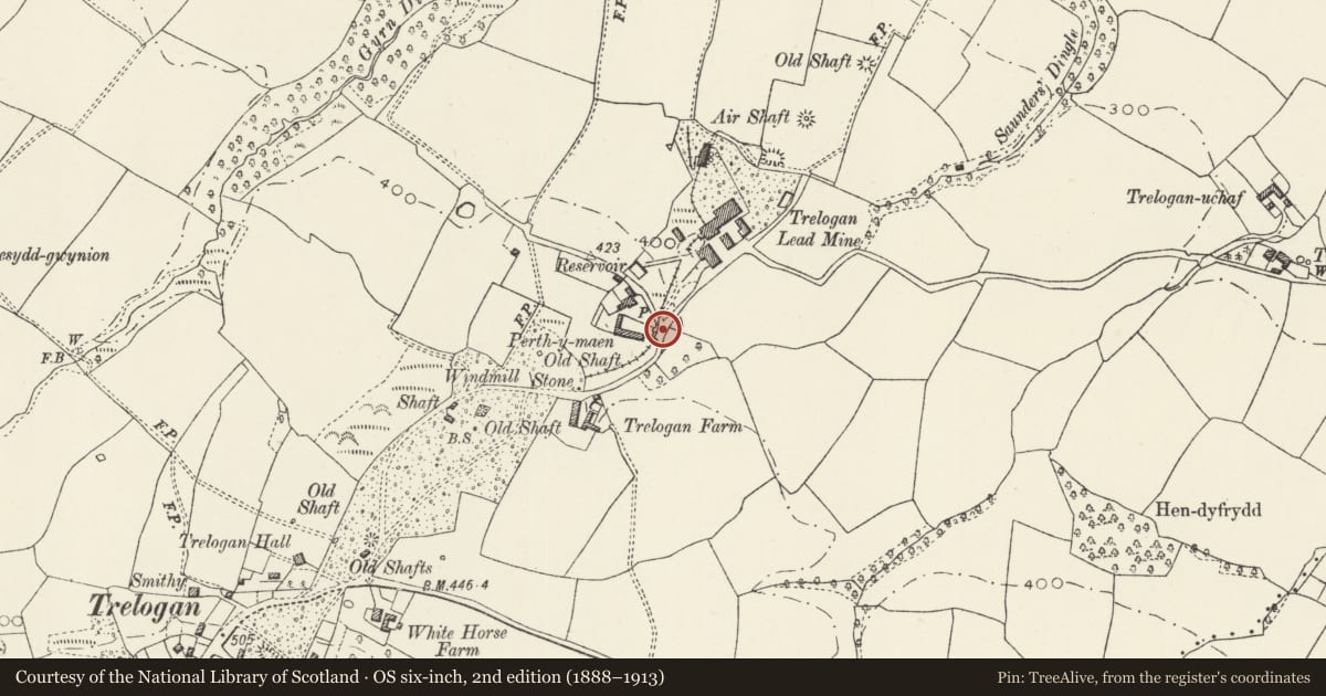 Ordnance Survey six-inch map, 2nd edition (1888–1913) covering the location of Orchard Wall at Berthymaen Farm, Llanasa, Flintshire, with a pin at the register's coordinates