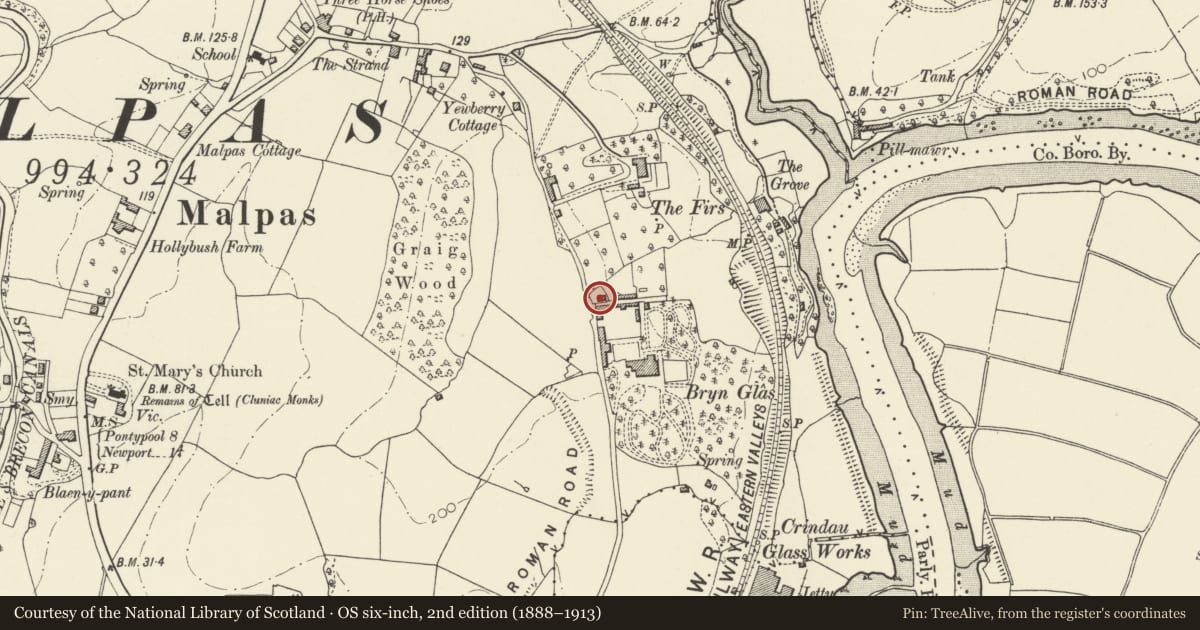 Ordnance Survey six-inch map, 2nd edition (1888–1913) covering the location of Brynglas Gardens, Shaftesbury, Newport, with a pin at the register's coordinates