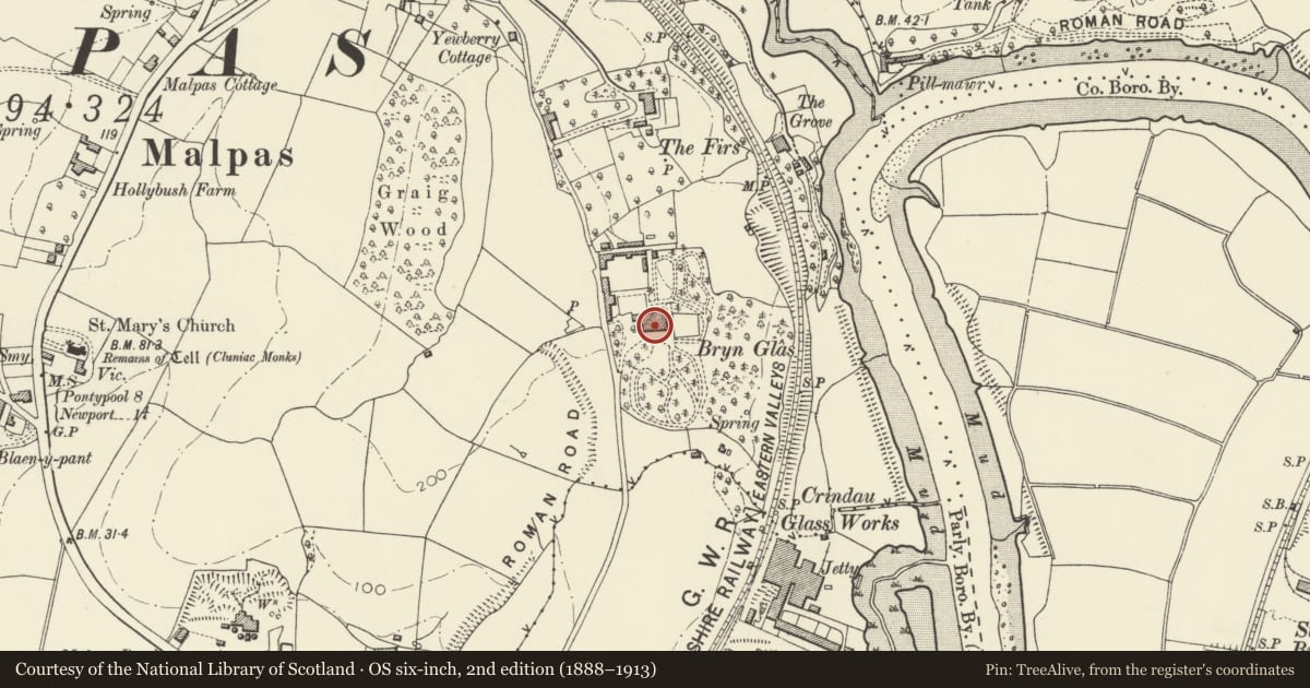 Ordnance Survey six-inch map, 2nd edition (1888–1913) covering the location of Brynglas House, Shaftesbury, Newport, with a pin at the register's coordinates