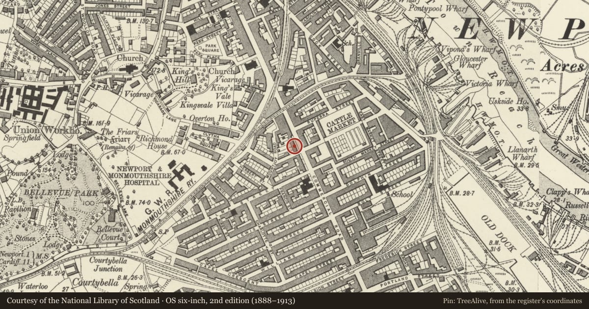 Ordnance Survey six-inch map, 2nd edition (1888–1913) covering the location of 181 Commercial Road, Pillgwenlly, Newport, with a pin at the register's coordinates