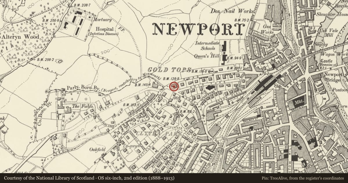 Ordnance Survey six-inch map, 2nd edition (1888–1913) covering the location of No. 11 Gold Tops, Allt-yr-Yn, Newport, with a pin at the register's coordinates