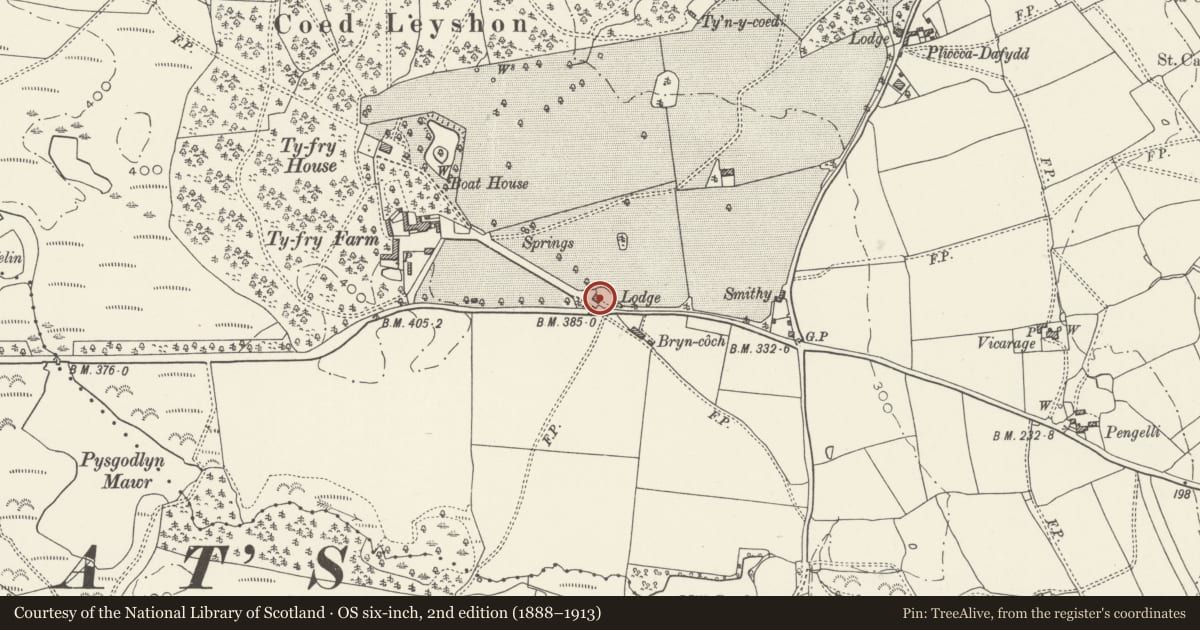 Ordnance Survey six-inch map, 2nd edition (1888–1913) covering the location of Ty Fry Lodge, Pendoylan, Vale of Glamorgan, with a pin at the register's coordinates