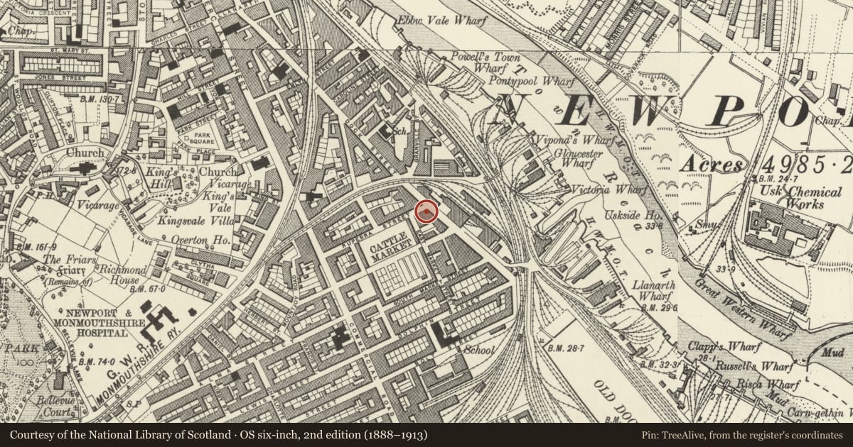 Ordnance Survey six-inch map, 2nd edition (1888–1913) covering the location of 109 Lower Dock Street, Pillgwenlly, Newport, with a pin at the register's coordinates