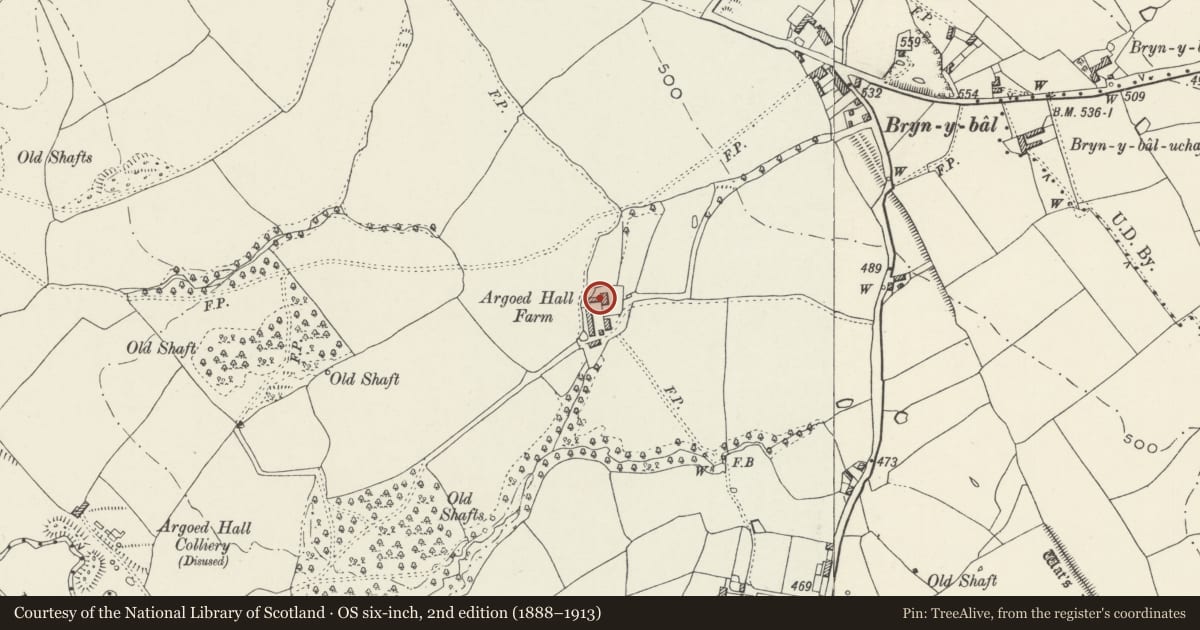 Ordnance Survey six-inch map, 2nd edition (1888–1913) covering the location of Argoed Hall, Flintshire, with a pin at the register's coordinates