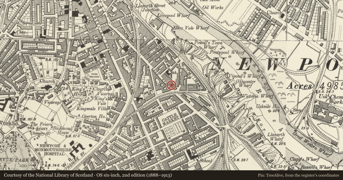 Ordnance Survey six-inch map, 2nd edition (1888–1913) covering the location of 77 Lower Dock Street, Stow Hill, Newport, with a pin at the register's coordinates