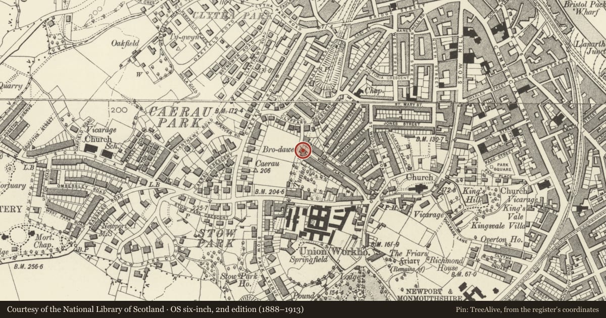 Ordnance Survey six-inch map, 2nd edition (1888–1913) covering the location of 55 York Place, Stow Hill, Newport, with a pin at the register's coordinates