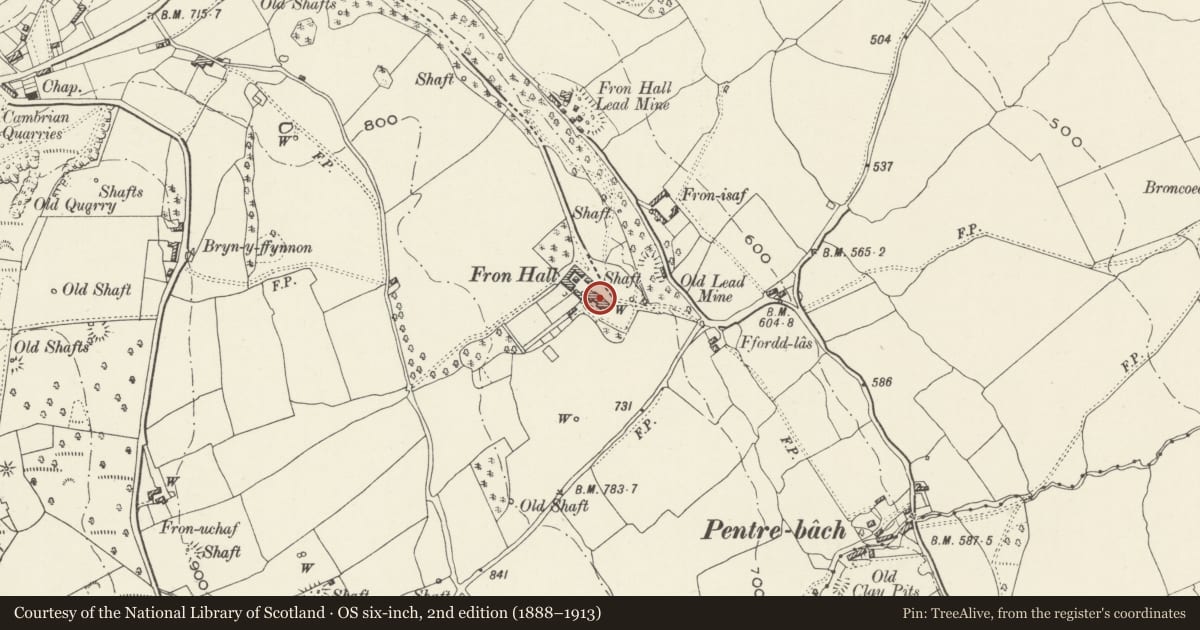 Ordnance Survey six-inch map, 2nd edition (1888–1913) covering the location of Fron Hall, Gwernymynydd, Flintshire, with a pin at the register's coordinates