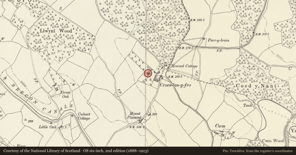 Ordnance Survey six-inch map, 2nd edition (1888–1913) covering the location of Croesllanfro House, Rogerstone, Newport, with a pin at the register's coordinates