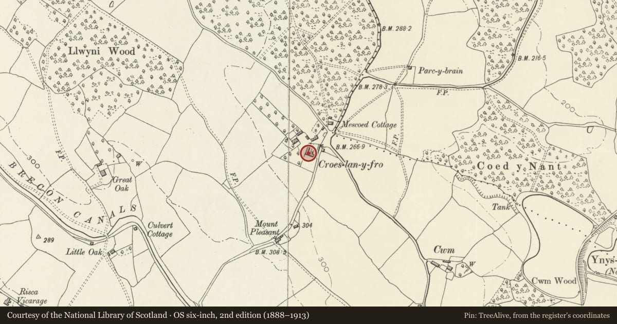 Ordnance Survey six-inch map, 2nd edition (1888–1913) covering the location of Barn and attached range at Croesllanfro Farm, Rogerstone, Newport, with a pin at the register's coordinates
