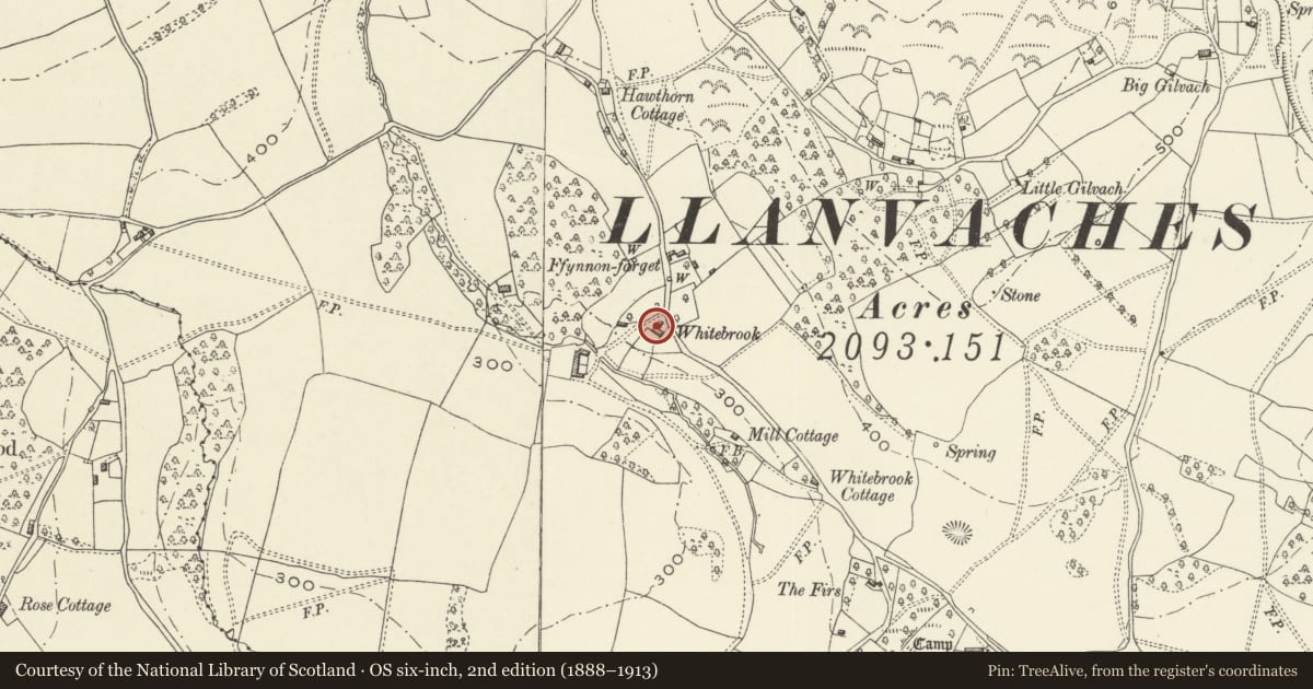 Ordnance Survey six-inch map, 2nd edition (1888–1913) covering the location of Whitebrook, Llanvaches, Newport, with a pin at the register's coordinates