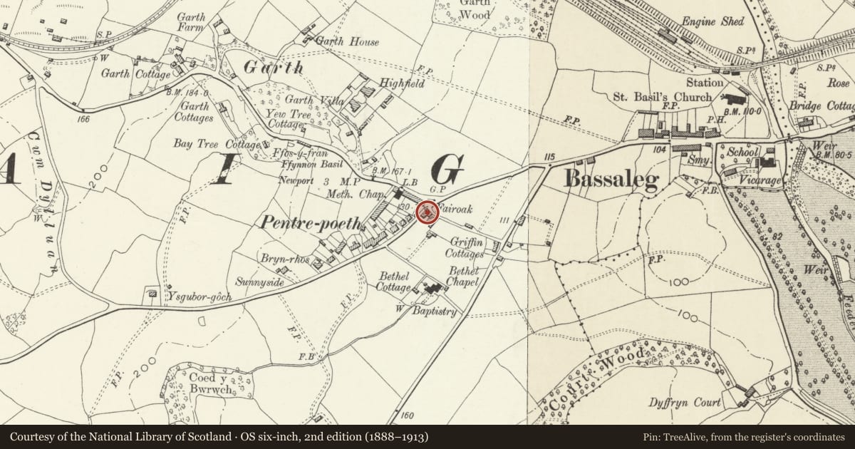 Ordnance Survey six-inch map, 2nd edition (1888–1913) covering the location of Fairoak, Graig, Newport, with a pin at the register's coordinates