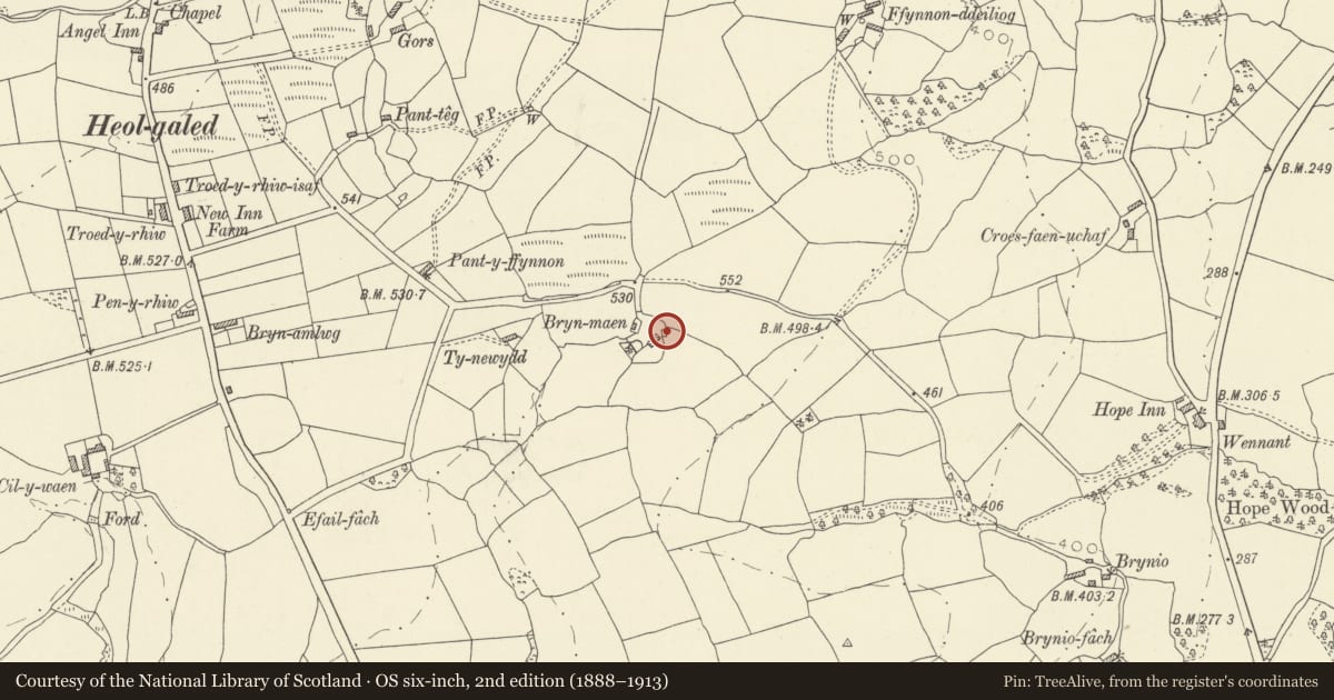 Ordnance Survey six-inch map, 2nd edition (1888–1913) covering the location of Brynmaen Quaker Burial Ground, Manordeilo and Salem, Carmarthenshire, with a pin at the register's coordinates