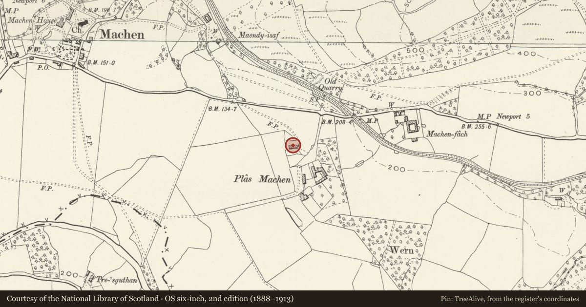 Ordnance Survey six-inch map, 2nd edition (1888–1913) covering the location of Nos. 1 & 2 Plas Cottages, Graig, Newport, with a pin at the register's coordinates
