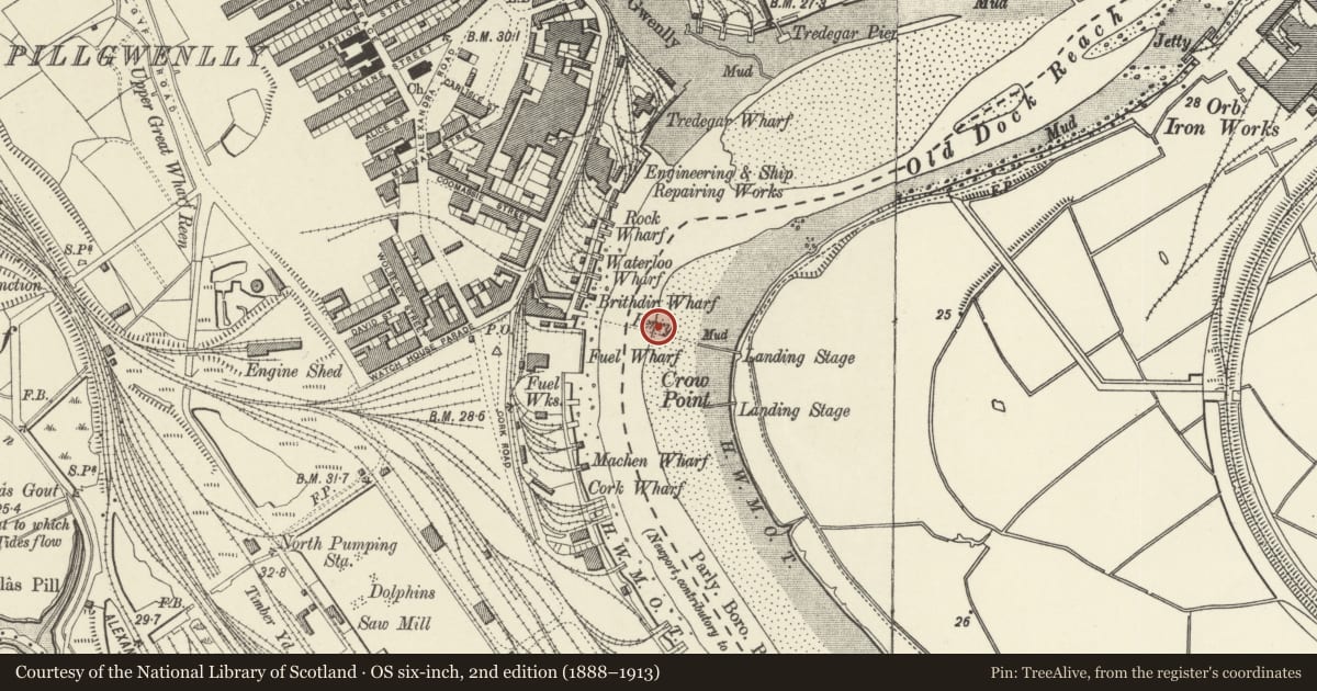 Ordnance Survey six-inch map, 2nd edition (1888–1913) covering the location of Transporter Bridge including E and W anchor chambers, Nash, Newport, with a pin at the register's coordinates