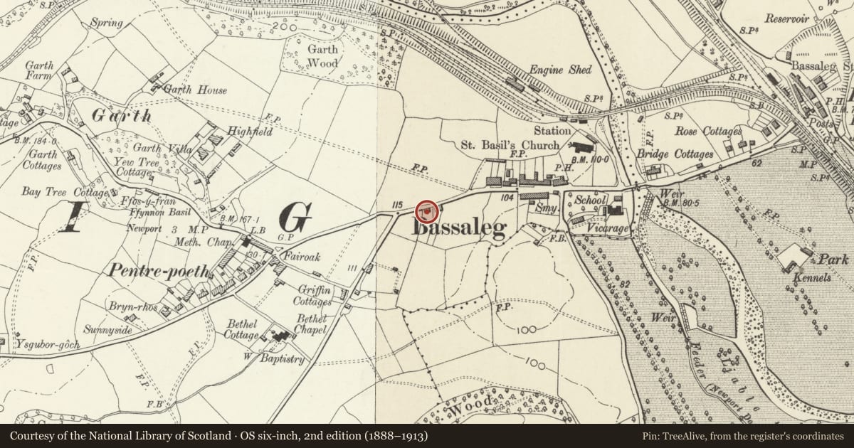 Ordnance Survey six-inch map, 2nd edition (1888–1913) covering the location of 27 Caerphilly Road, Graig, Newport, with a pin at the register's coordinates