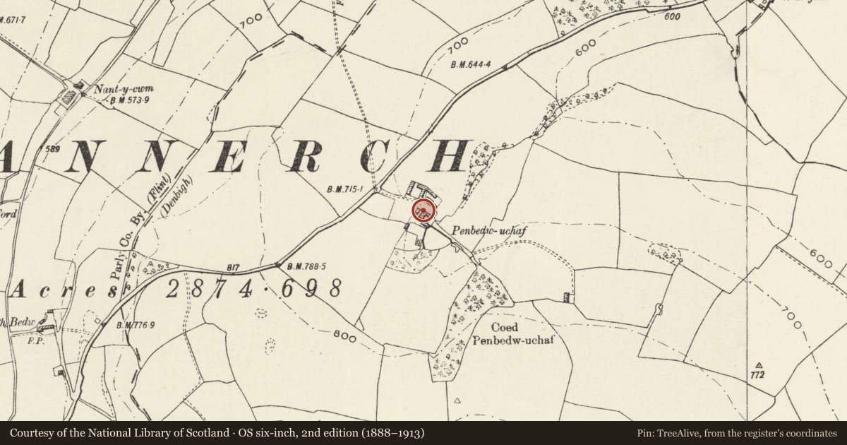 Ordnance Survey six-inch map, 2nd edition (1888–1913) covering the location of Penbedw Uchaf, including attached garden wall, Nannerch, Flintshire, with a pin at the register's coordinates