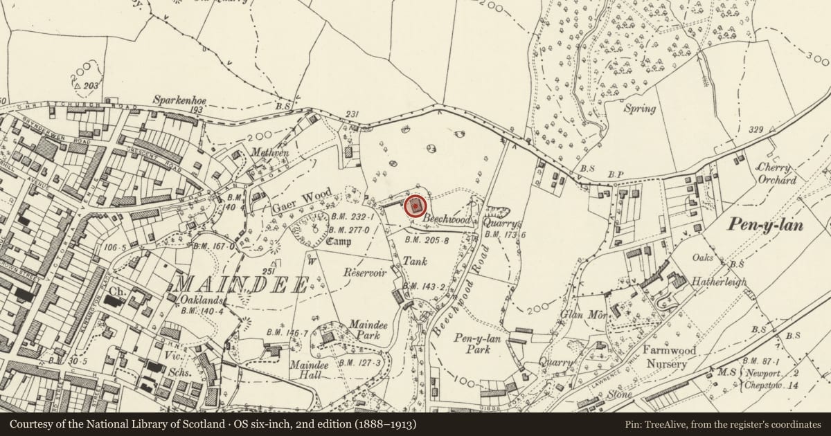 Ordnance Survey six-inch map, 2nd edition (1888–1913) covering the location of Beechwood House, attached forecourt wall and attached coach-house range, Newport, with a pin at the register's coordinates