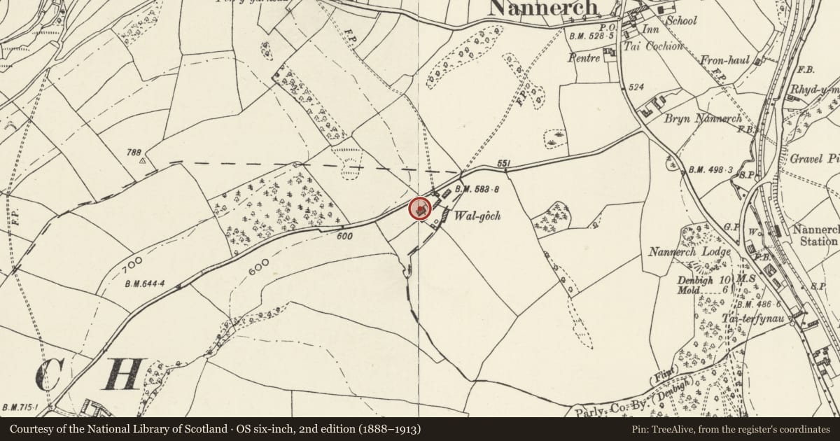 Ordnance Survey six-inch map, 2nd edition (1888–1913) covering the location of Walgoch, Nannerch, Flintshire, with a pin at the register's coordinates