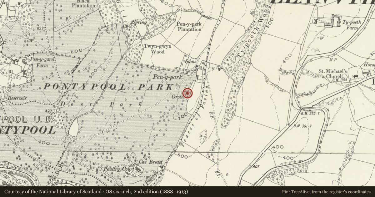 Ordnance Survey six-inch map, 2nd edition (1888–1913) covering the location of Shell Grotto, Trevethin, Torfaen, with a pin at the register's coordinates
