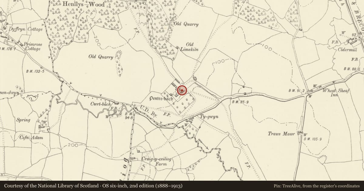Ordnance Survey six-inch map, 2nd edition (1888–1913) covering the location of Pentre-Bach and attached outbuildings, Llantarnam, Torfaen, with a pin at the register's coordinates