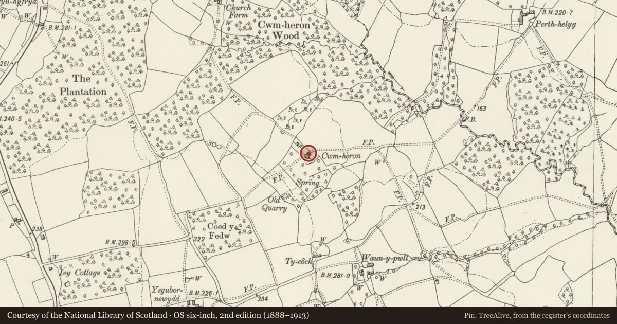 Ordnance Survey six-inch map, 2nd edition (1888–1913) covering the location of Cwm Aaron and attached barn, Llanyrafon, Torfaen, with a pin at the register's coordinates