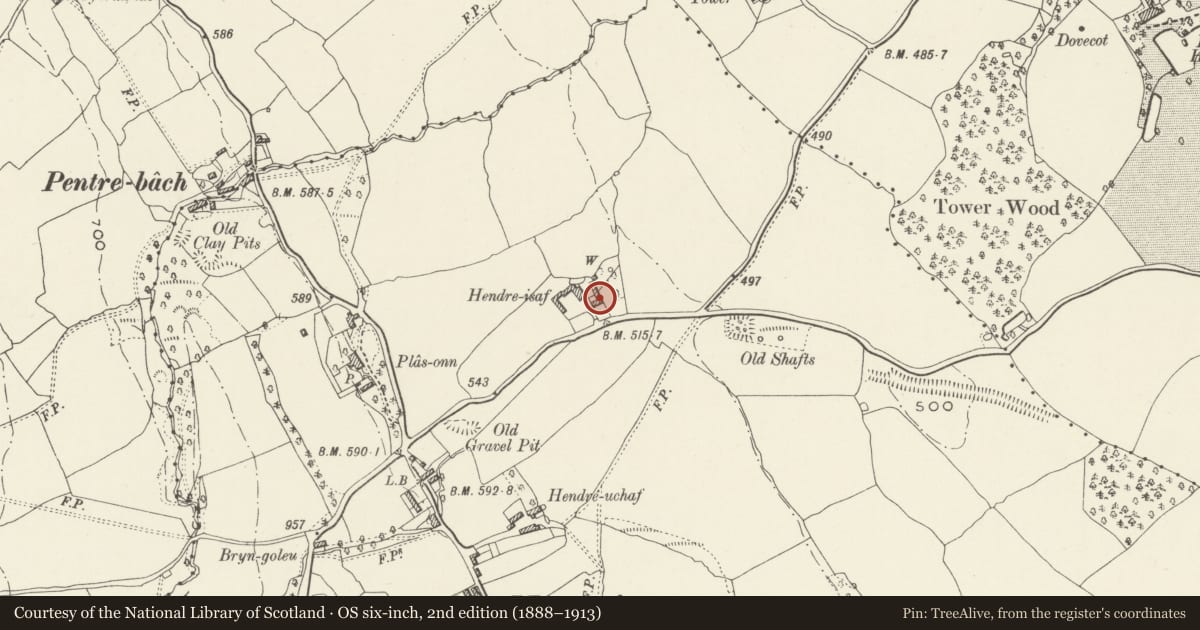 Ordnance Survey six-inch map, 2nd edition (1888–1913) covering the location of Hendre Isa Farmhouse, Nercwys, Flintshire, with a pin at the register's coordinates