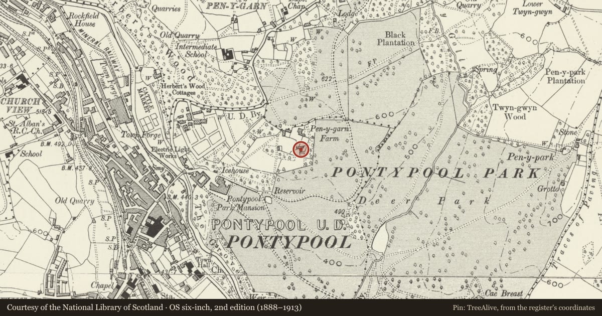 Ordnance Survey six-inch map, 2nd edition (1888–1913) covering the location of Park Cottage, Pontymoile, Torfaen, with a pin at the register's coordinates