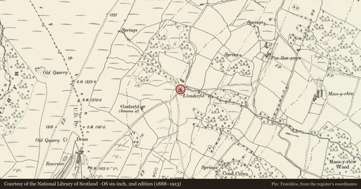 Ordnance Survey six-inch map, 2nd edition (1888–1913) covering the location of Llanderfel Farmhouse, Fairwater, Torfaen, with a pin at the register's coordinates