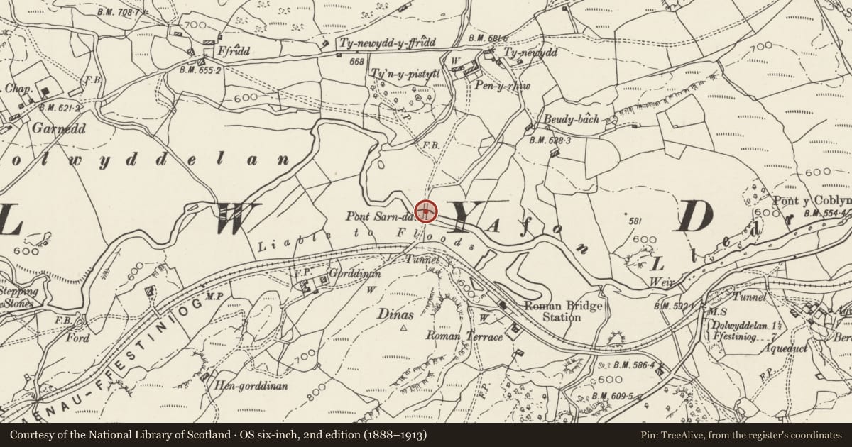 Ordnance Survey six-inch map, 2nd edition (1888–1913) covering the location of Pont Sarn-Ddu (also known as 'Roman Bridge'), Dolwyddelan, Conwy, with a pin at the register's coordinates